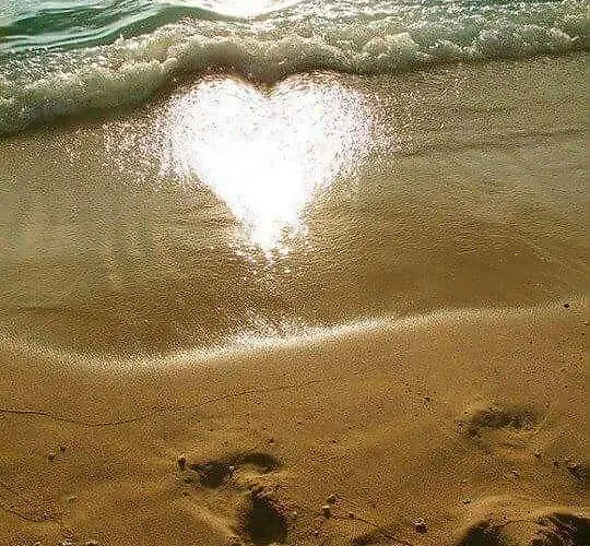 Cathedral Apartmán *